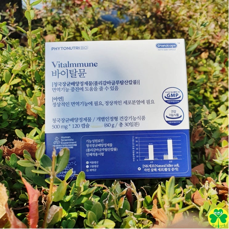  청국장배양정제물이 들어간 면역력 영양제 품 바이탈뮨 (ft. 면역력에 좋은 음식)
