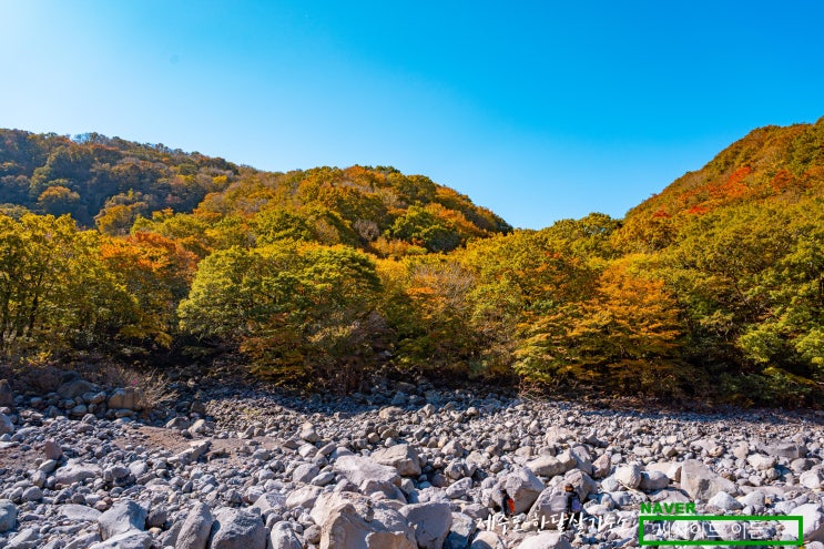  제주도 단풍소식(천아계곡,천왕사) [제주도 한달살기 숙소 씨사이드 이든]