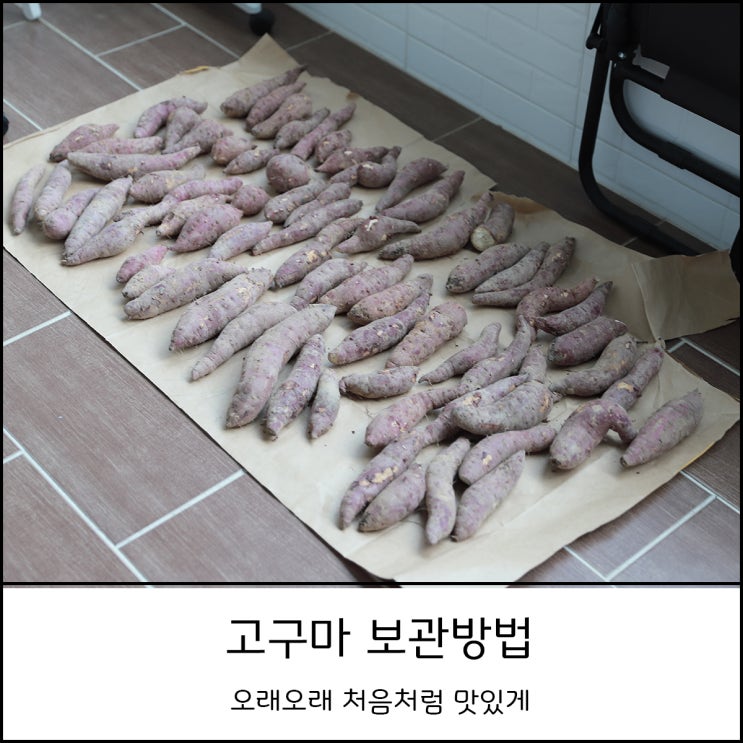  고구마 보관방법 이렇게 하면 오래두고 맛있게 먹을 수 있어요 (feat. 에어프라이어 고구마 맛탕)
