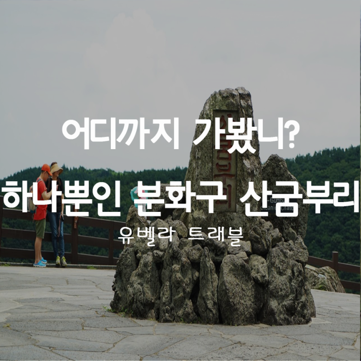 37. 한국에 하나뿐인 분화구 제주도 "산굼부리"