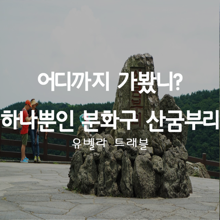  37. 한국에 하나뿐인 분화구 제주도 "산굼부리"