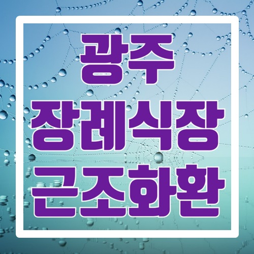  광주서구근조화환 빠르게 당일 배송 가능