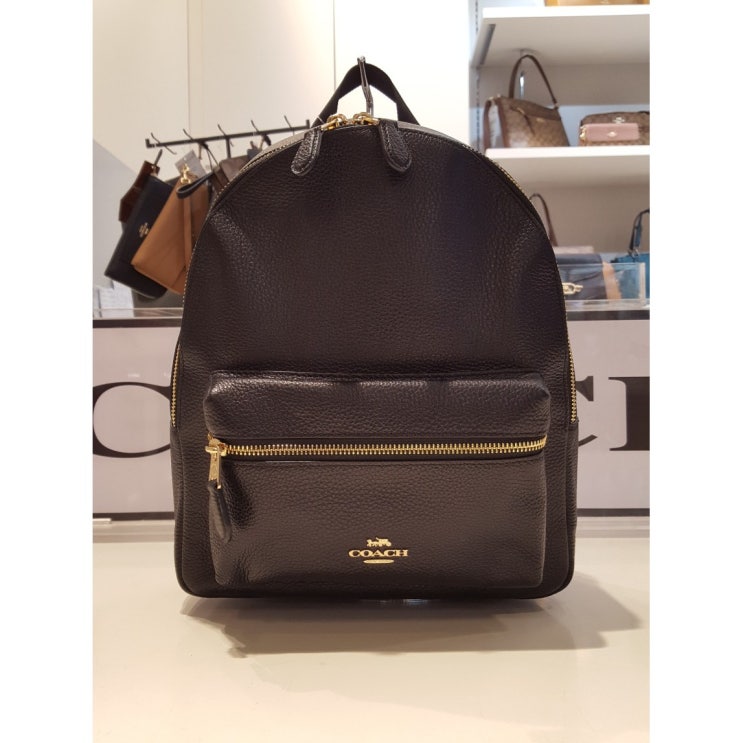  바로 배송 코치 미디엄 찰리 백팩 F30550 IMBLK