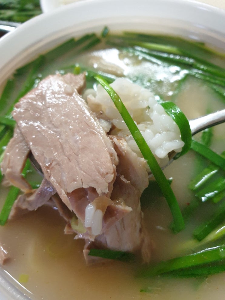  정관 돼지국밥 맛집 - 영진 돼지 국밥 국물이 완전 진국!!