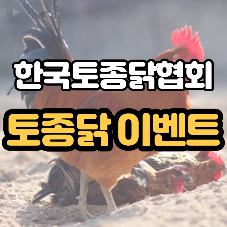  한국토종닭협회 토종닭이벤트 - 당 걱정없는 토종닭볶음탕 도전해요