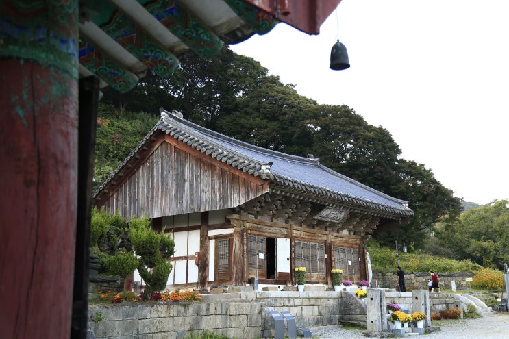  [가을 사찰여행] 역사의 보물을 간직한 안성 칠장사