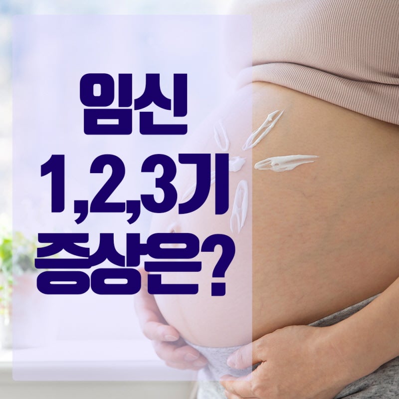 임신1기,2기,3기? 몇주를 의미하는걸까 ( 배란일,임신주수계산법) : 네이버 블로그