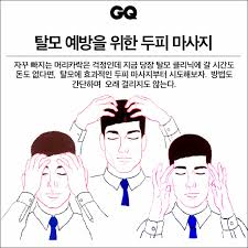 탈모예방습관 두피마사지 머리빠지는습관 민간요법샴푸: 두피관리방법