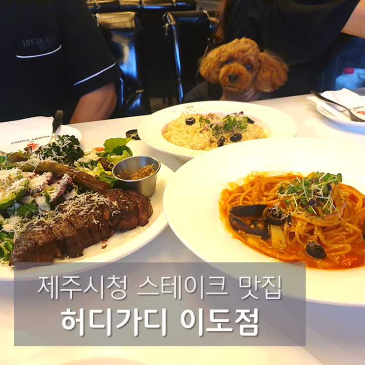  이도동맛집 허디거디 이도점 : 애견동반 가능한 제주시레스토랑