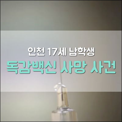 인천 독감백신 사망 사건 발생과 여파 인천 독감백신 사망 사건 발생과 여파