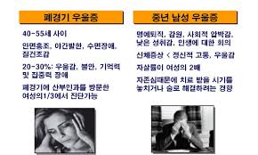 우울증정의원인 취약요인성격 문헌고찰: 우울증대처스트레스영양제 간호케이스 우울증정의원인 취약요인성격 문헌고찰: 우울증대처스트레스영양제 간호케이스