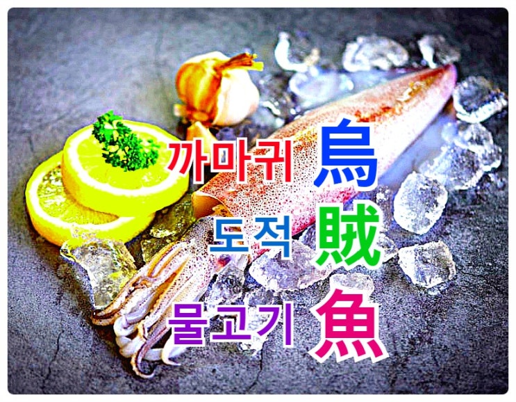  두뇌발달, 위염에 좋은 음식- 오징어..  타우린 효능은?