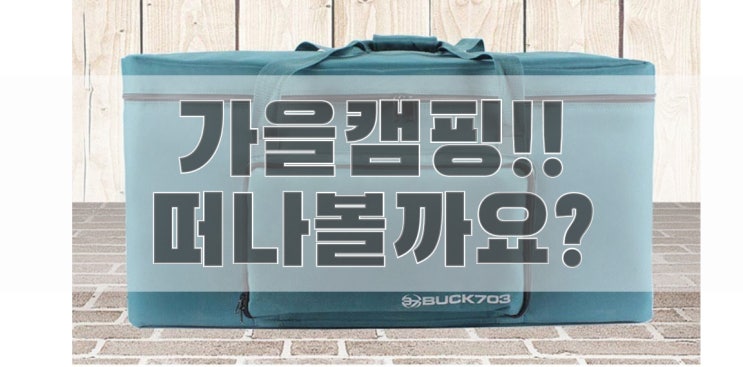 [쩡이파트너스 캠핑용품 추천] 벅703 에코그린캠핑가방