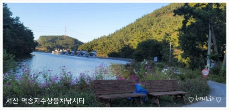  [시설좋은 민물 좌대 낚시터 추천]서산 덕송지수상풍차낚시터