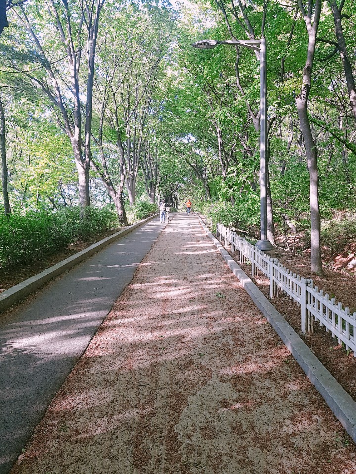 여유롭게 걷기 좋은 우장산공원 산책코스, 토끼도 만나볼 수 있어요!