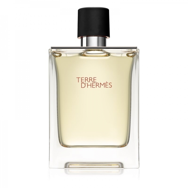 에르메스 Terre d’에르메스 eau de toilette for Men - 100 ml 유럽직배송, 100ml