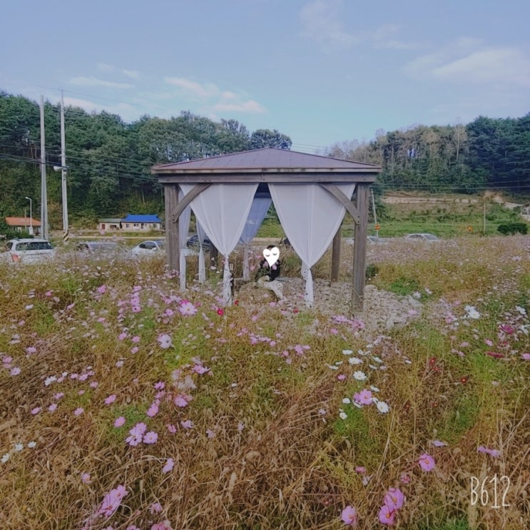  울진군 매화면 평화까페