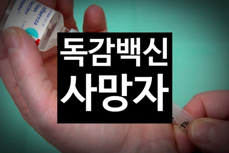  독감 백신 사망자 10대 등 상온 노출 접종 아냐