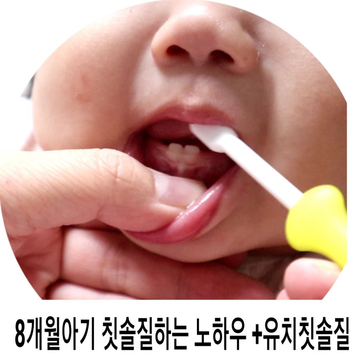 치위생사엄마가 말하는 8개월아기 6살 칫솔질도 노하우가 있다
