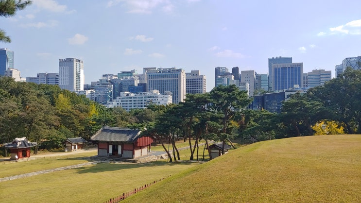 [서울 강남] 선정릉 - 도심 한복판 왕릉의 모습은? 세계문화유산