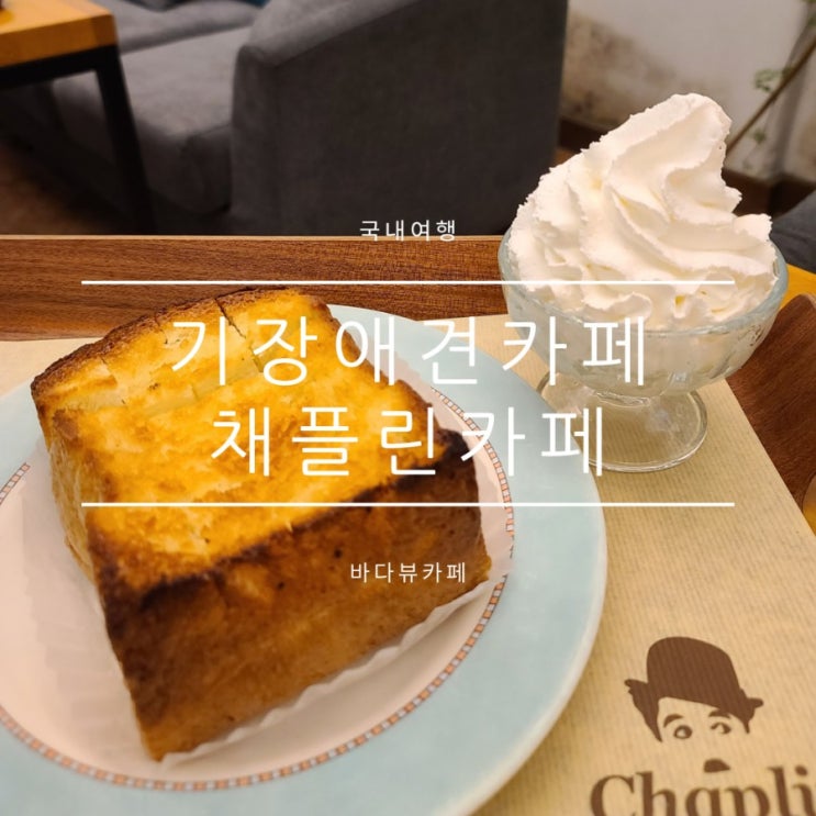 기장애견카페추천, 베이커리가 맛있는 채플린카페 기장애견카페추천, 베이커리가 맛있는 채플린카페