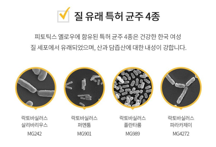  질염 냉으로 고생할 때는 피토틱스 옐로우가 답