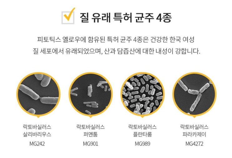 질염 냉으로 고생할 때는 피토틱스 옐로우가 답