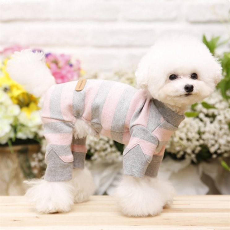 10.20. BEST5품목 펫디자인 벌꿀ST 올인원~ 꼭 사야할껄요? 10.20. BEST5품목 펫디자인 벌꿀ST 올인원~ 꼭 사야할껄요?