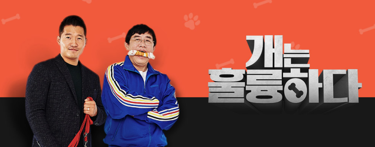  ‘개는 훌륭하다’ 50회 리뷰