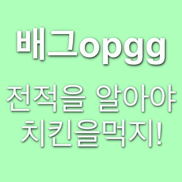  배그opgg, 전적을 알아야 치킨을 먹지!
