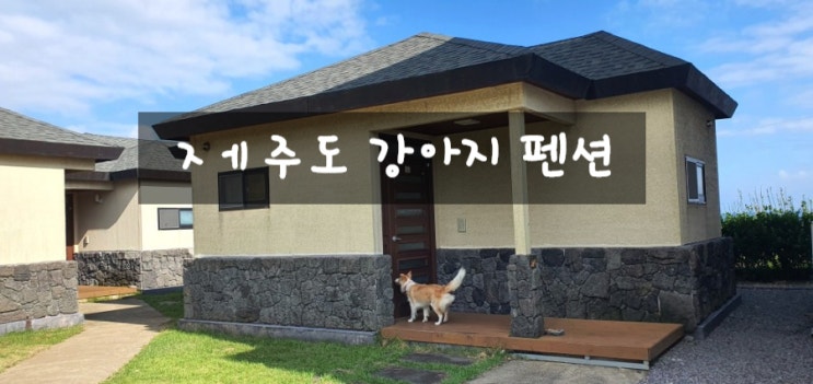  제주도 강아지 펜션 온더스톤펜션 솔직후기
