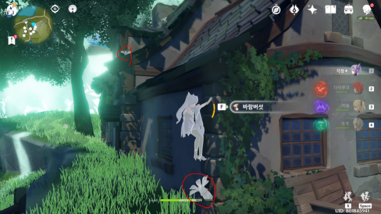 원신 바람버섯 파밍루트(50개) -2- 원신 바람버섯 파밍루트(50개) -2-