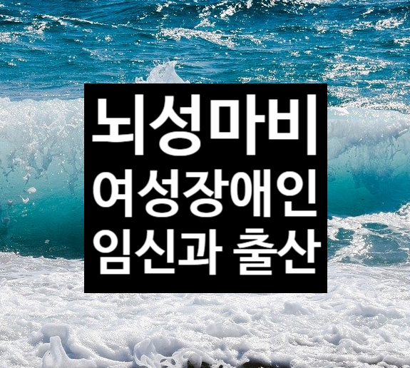  뇌성마비 장애인 여성 임신과 출산 사례(2)