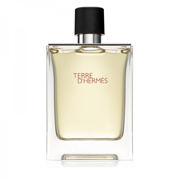 에르메스 Terre d’에르메스 eau de toilette for Men - 200 ml 유럽직배송, 200ml