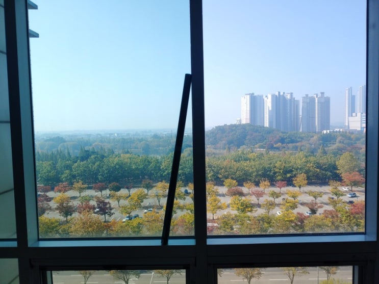 일산 오피스텔 단열필름 썬팅 장항동 코오롱레이크폴리스 유리창문 열차단썬팅 일산 아파트 단열필름 썬팅 시공