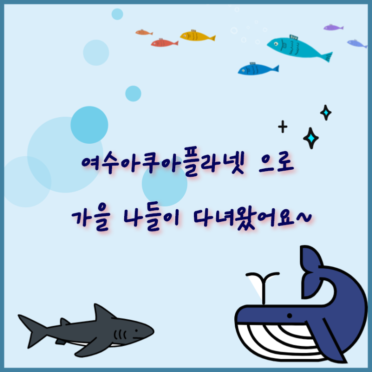  여수아쿠아플라넷 가서 물고기 구경하고 왔어요!