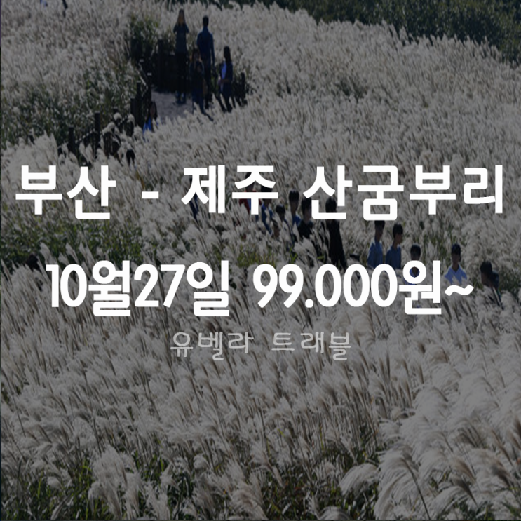[부산출발] 제주 산굼부리 3박4일 패키지 특가 에어부산