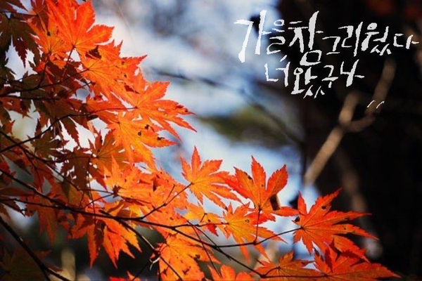  가을....단풍....