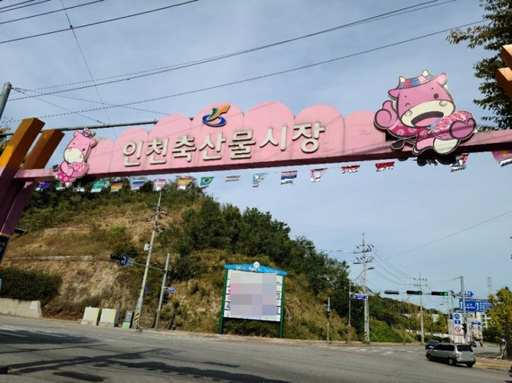  인천 축산물 시장에서 신선도 최고의 가성비 좋은 소고기 돼지고기 만나 보세요
