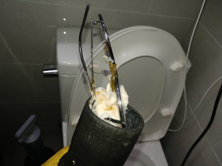  막힌 원인을 정확히 알 수 없었던 의왕 변기 막힘. 변기에서 안경이 나왔네요