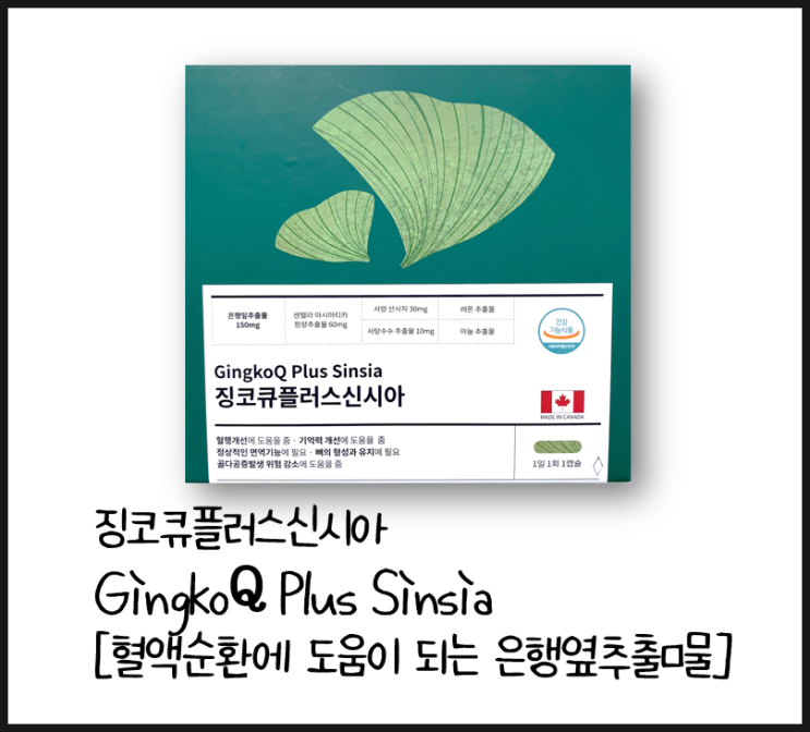  [징코큐플러스신시아] 혈액순환개선 영양제 (약국 은행잎추출물)