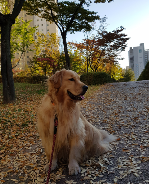  가을 느낌...가을이 오나 봅니다.