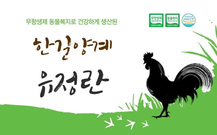  신선하데이 무항생제 동물복지 유정란 판매