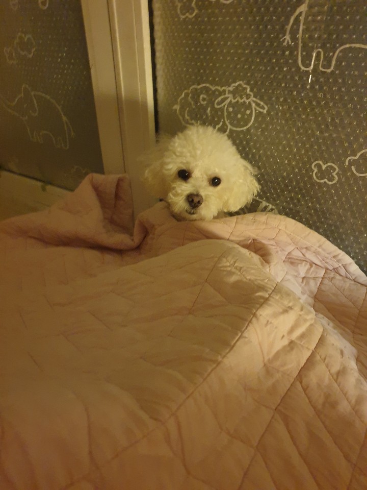  우리애기 심쿵사진과 동영상! 귀여운 아이들 모두 모여라