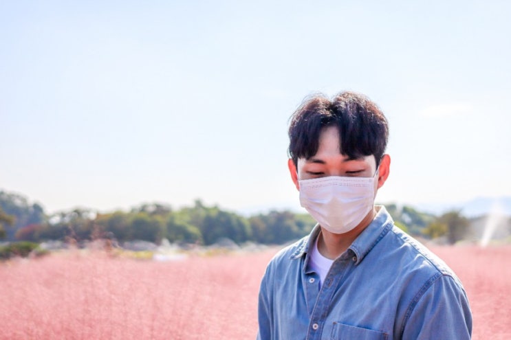  경주 가볼 만한 곳 핑크뮬리 후기