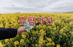  주식용어사전 '유형자산'이란?