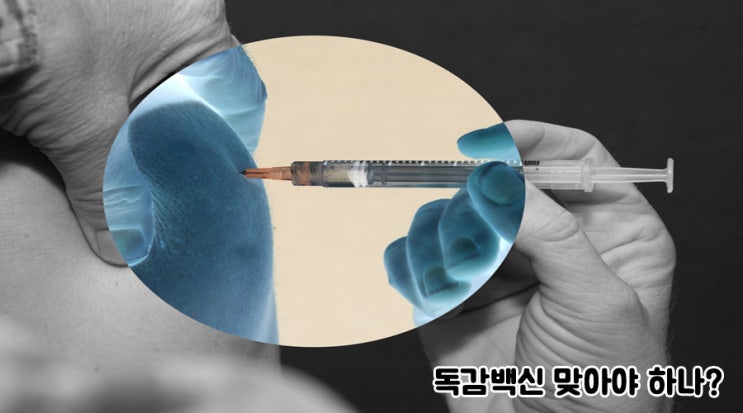 독감백신접종 사망자 9명