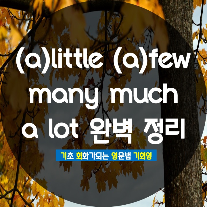 few a few little a little many much 완벽 정리 - 기회영