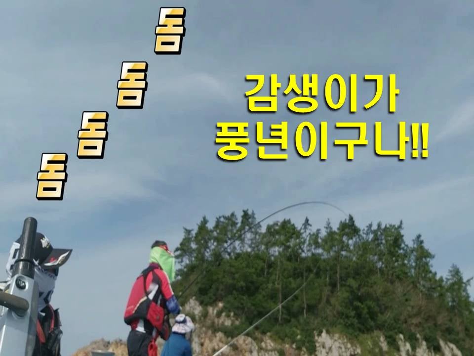 두룩도 사진 6