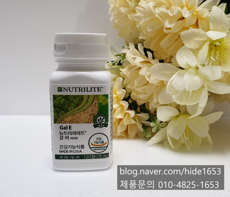  암웨이 뉴트리라이트 갈 이 비타민(항산화에너지, 항산화제, 비타민E, 세포보호, 마늘)